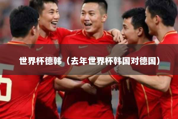 世界杯德韩(去年世界杯韩国对德国)