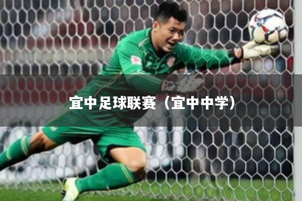 宜中足球联赛（宜中中学）