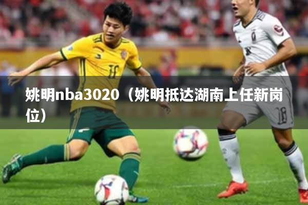 姚明nba3020（姚明抵达湖南上任新岗位）