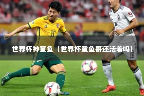 世界杯神章鱼（世界杯章鱼哥还活着吗）