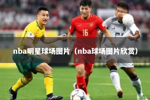 nba明星球场图片（nba球场图片欣赏）