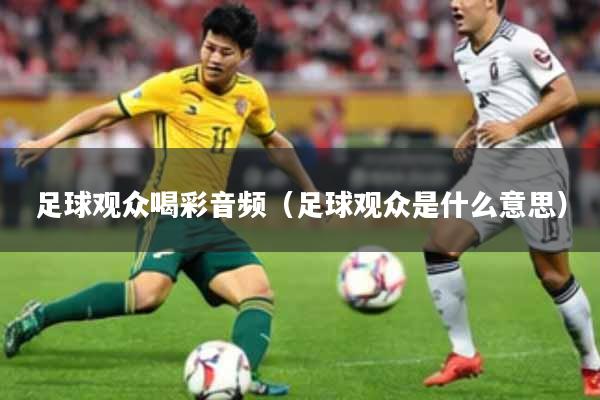足球观众喝彩音频（足球观众是什么意思）