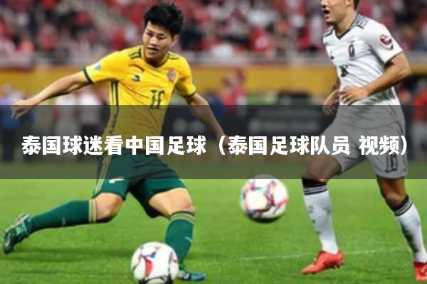 泰国球迷看中国足球（泰国足球队员 视频）